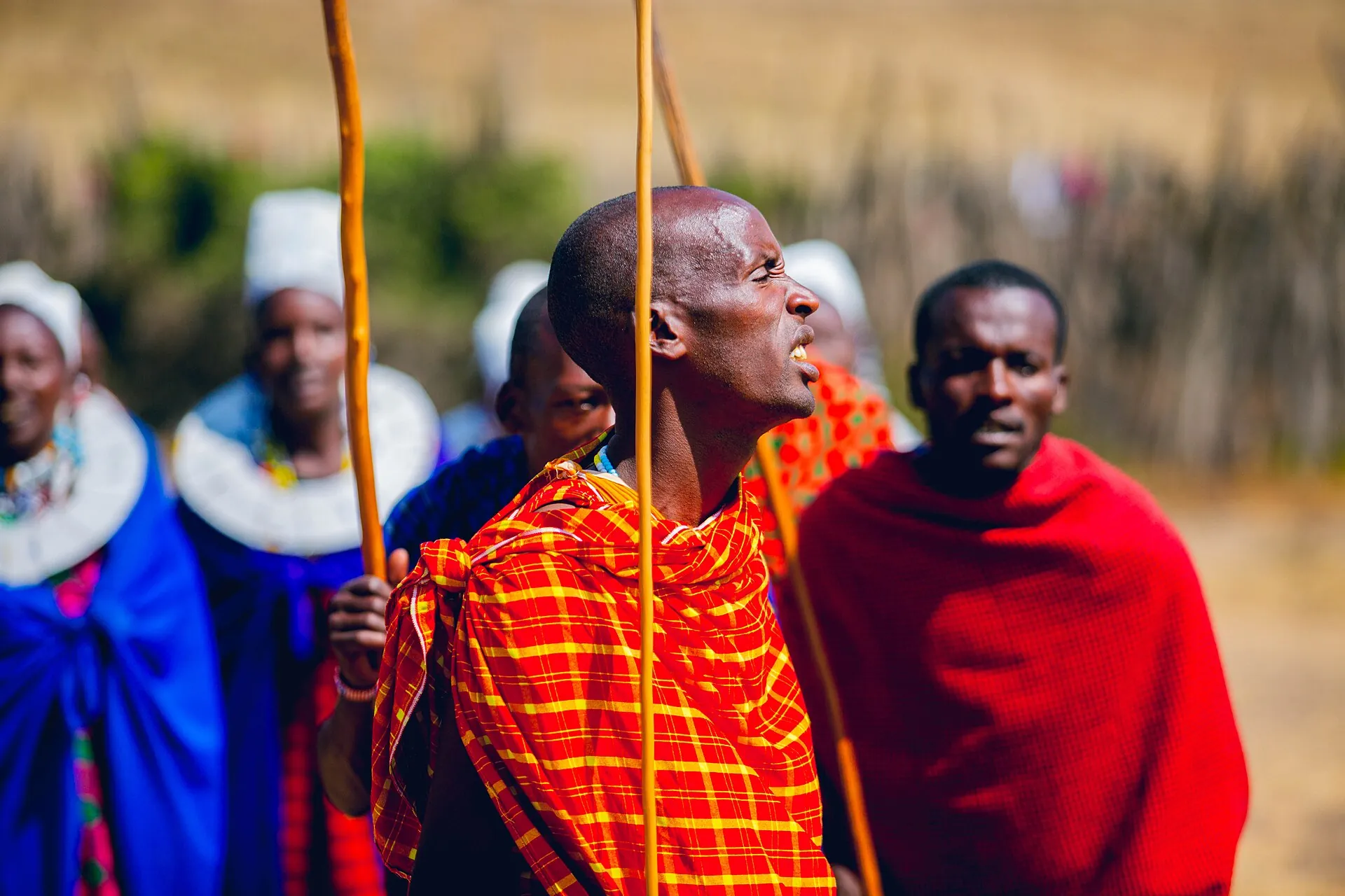 Maasai men and women in Tanzania in red checked shúkà and white beaded headdresses.